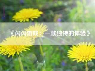 《闪闪游戏：一款独特的体验》