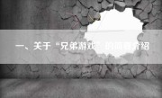 一、关于“兄弟游戏”的简要介绍