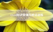 CS:GO经济管理与枪法训练