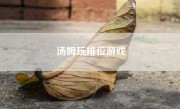 汤姆玩排位游戏