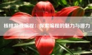 核桃游戏编程：探索编程的魅力与潜力