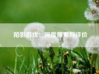 陌影游戏：深度探索与评价