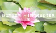 赵佳游戏公司：一个值得关注的行业翘楚