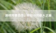 游戏付费合作：开启你的收入之源