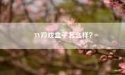 TV游戏盒子怎么样？