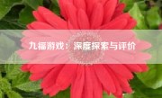 九福游戏：深度探索与评价