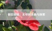 假日游戏：无尽的乐趣与探索