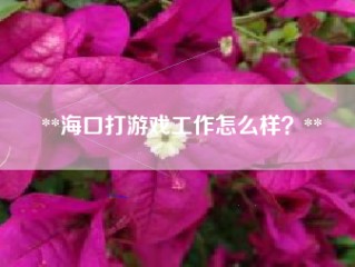 **海口打游戏工作怎么样？**