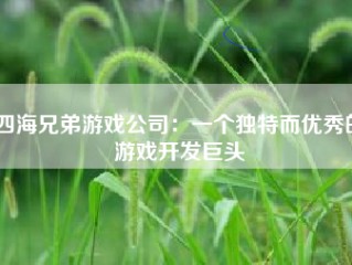 四海兄弟游戏公司：一个独特而优秀的游戏开发巨头