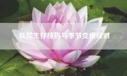 饥荒生存技巧与季节变换应对