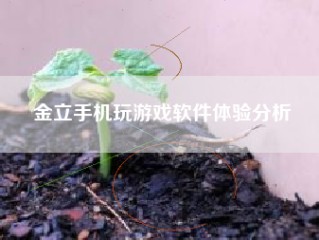 金立手机玩游戏软件体验分析