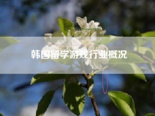 韩国留学游戏行业概况