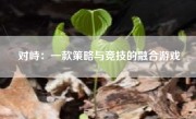 对峙：一款策略与竞技的融合游戏