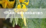 233小游戏：探索无尽的乐趣与魅力