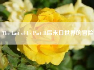 The Last of Us Part II后末日世界的冒险