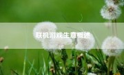 联机游戏生意概述