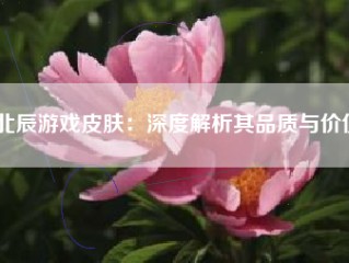 北辰游戏皮肤：深度解析其品质与价值