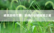 威狐游戏代理：游戏行业的璀璨之星