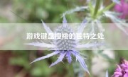 游戏键盘樱桃的独特之处