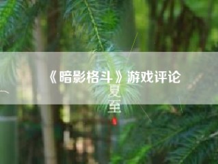 《暗影格斗》游戏评论