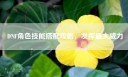 DNF角色技能搭配攻略，发挥最大威力