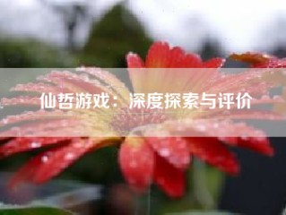 仙哲游戏：深度探索与评价