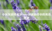 小灰灰游戏名字——深邃游戏中的亮色奇迹