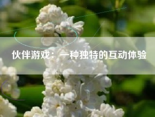 伙伴游戏：一种独特的互动体验