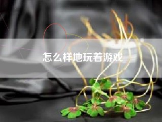 怎么样地玩着游戏