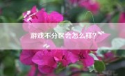 游戏不分区会怎么样？