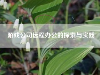 游戏公司远程办公的探索与实践