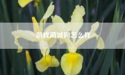 游戏商城网怎么样