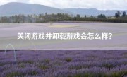 关闭游戏并卸载游戏会怎么样？