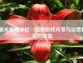 星光游戏学校：培养游戏开发与运营精英的摇篮