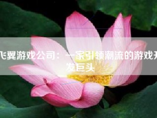 飞翼游戏公司：一家引领潮流的游戏开发巨头