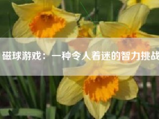 磁球游戏：一种令人着迷的智力挑战