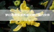 梦幻西游宝宝养成攻略，强力伙伴