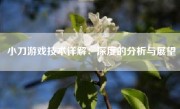 小刀游戏技术详解：深度的分析与展望