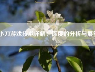 小刀游戏技术详解：深度的分析与展望