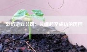 烈焰游戏公司：从崛起至成功的历程