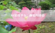 WF游戏平台：体验与评价