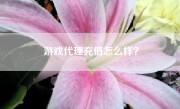 游戏代理充值怎么样？