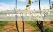 苏菲游戏测评：深入解析与评价