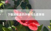 下载游戏盒的步骤与注意事项