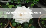 黑莓游戏：探索其魅力与独特性