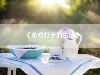 《游戏打手的生活》