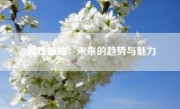游戏领域：未来的趋势与魅力