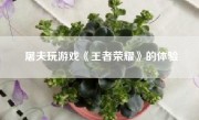 屠夫玩游戏《王者荣耀》的体验