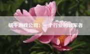 蜗牛游戏公司：一个行业的领军者