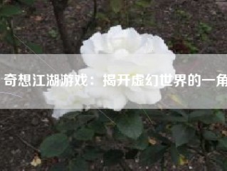 奇想江湖游戏：揭开虚幻世界的一角